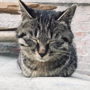 十一点四十三（sadness)