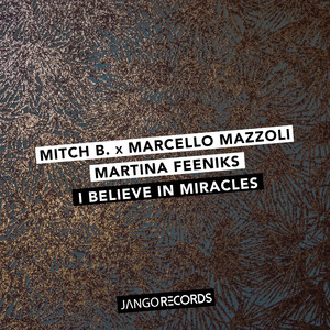 I Believe in Miracles (Radio Edit)