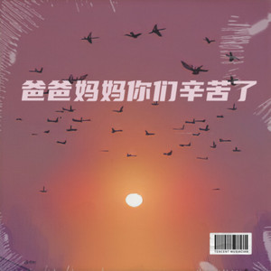 爸爸妈妈你们辛苦了 (伴奏)