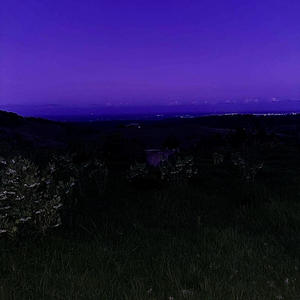 Blue Light (get help)