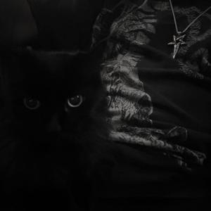 why she on me? (Explicit)