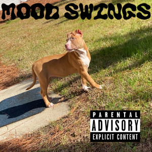 Mood Swings (Explicit)