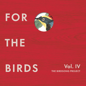 For the Birds: The Birdsong Project, Vol. IV