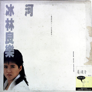 林良乐 - 学不会温柔的我 (黑胶版)