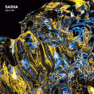 The Echo Forgets(Sasha's Moog-apella)