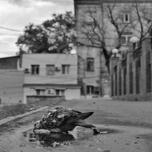 андерграунд (feat. Vince & Ice Kree) (Explicit)