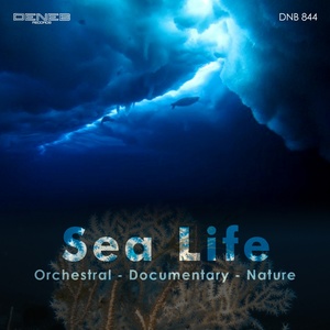 Sea Life (Orchestral Documentary Nature)