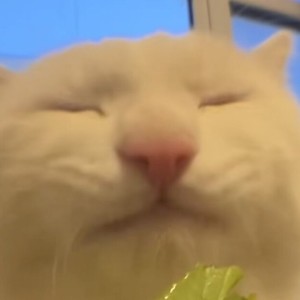 字字句句