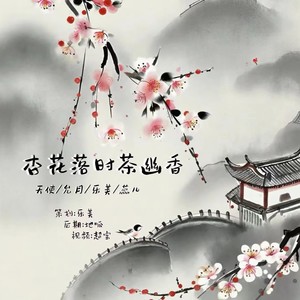 杏花落时茶幽香