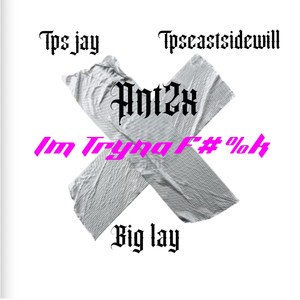 Im Tryna F#%k (Explicit)