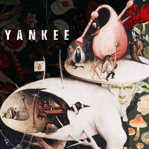 Yankee