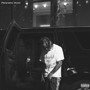 Panoramic Music (Explicit)