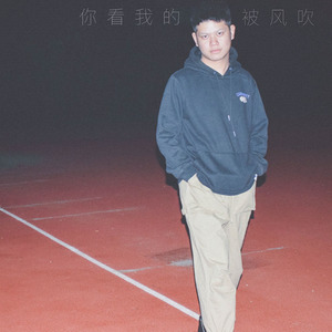 你看我的头发被风吹