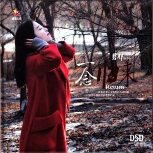 卷珠帘封面