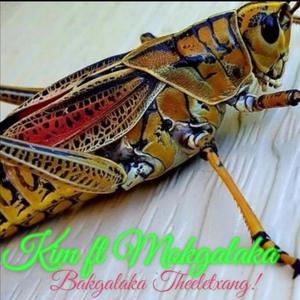 Bakgalaka Theeletxang! (feat. Mokgalaka)
