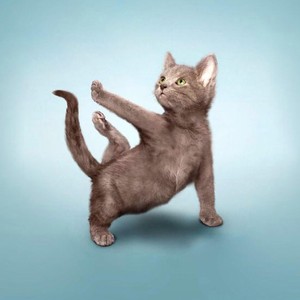 佛山电翰 (萨克斯电音版)