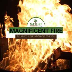 Magnificent Fire - Delightful Soundtracks for You