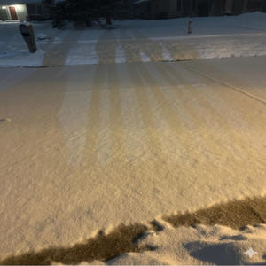 Fsdabender flow (Explicit)