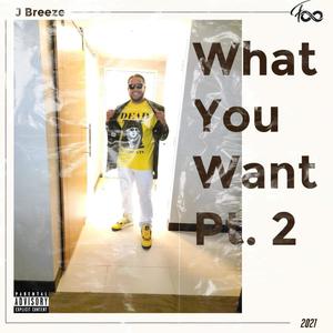 What You Want, Pt. 2(Hustlaz Ambition) (Explicit)