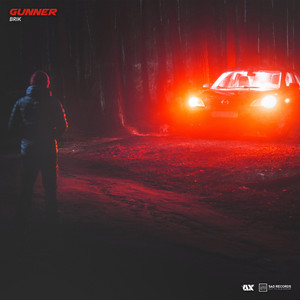 RealBrik - GUNNER