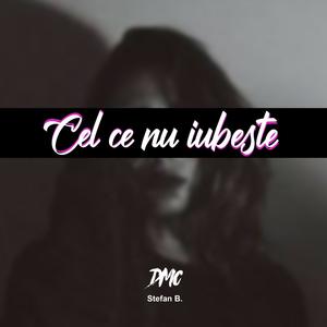 Cel ce nu iubeste(feat. Stefan B)