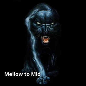 Mellow to Mid