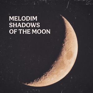 Shadows Of The Moon (Radio Edit)