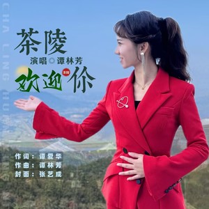 茶陵欢迎你 (伴奏)