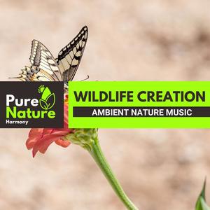 Wildlife Creation - Ambient Nature Music