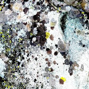 Built 4 This (Explicit)