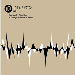 Need You (Terry Lee Brown Junior Remix)