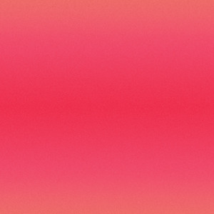 El alma de la fiesta