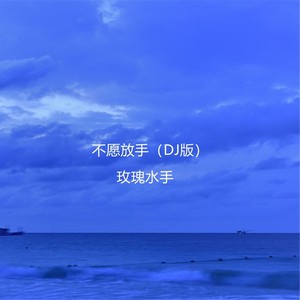 补心 (DJ版)