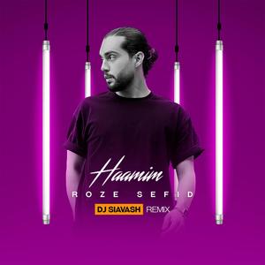 Roze Sefid (DJ Siavash Remix|Explicit)