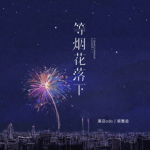 等烟花落下封面