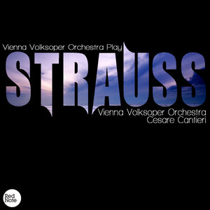 Strauss: Vienna Volksoper Orchestra Play