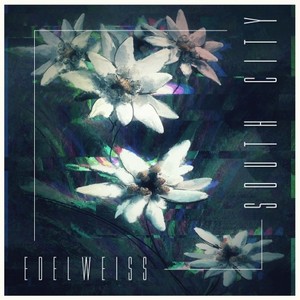 Edelweiss