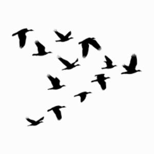 sinner (feat. Lyfelxss) (Explicit)