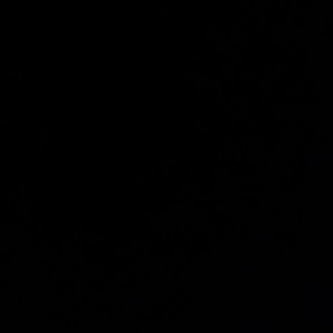 The Notorious Marcus Ling