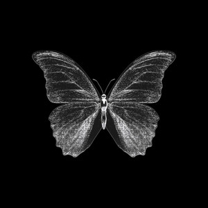 Overthinker (Slowed Version)