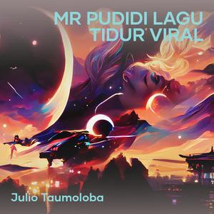 Mr Pudidi Lagu Tidur Viral