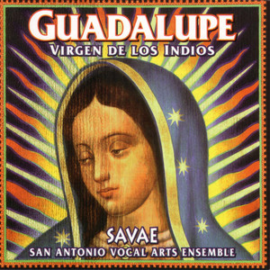 Guadalupe: Virgen De Los Indios