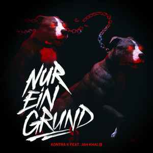 Nur ein Grund (Explicit)
