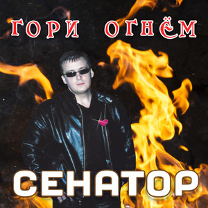 Гори огнём