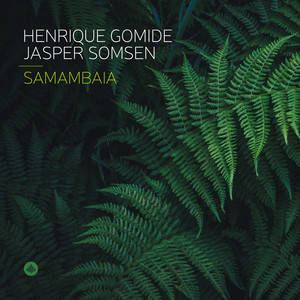 Jasper Somsen - Samambaia