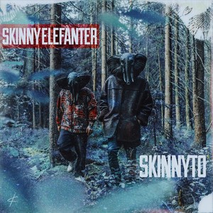 Skinnyto