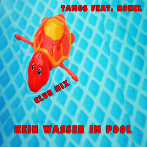 Kein Wasser im Pool (Club - Mix)