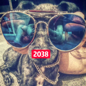 2038