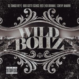 Wild Boiiz (feat. BooGotti ShiceRed & KB Drama) [Explicit]