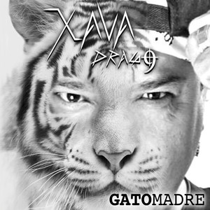 Gatomadre